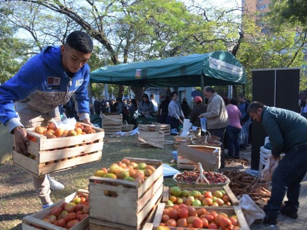La venta de tomate nacional en ferias continúa con éxito
