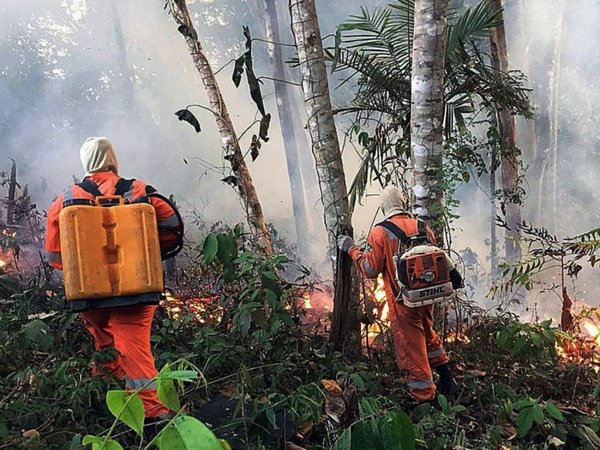 Acuerdo UE-Mercosur, contra las cuerdas por incendio en la Amazonia