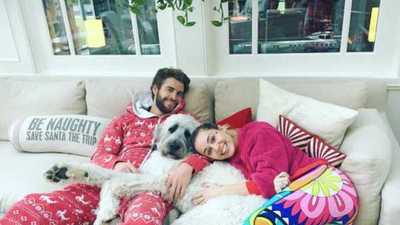 Miley Cyrus se quedará con todas las mascotas cuando se divorcie