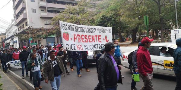 Frutihortícolas: tomateros aseguran que la Armada es clave para frenar o introducir contrabando - ADN Paraguayo