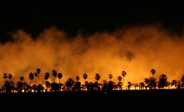 HOY / Hay 1.723 focos de incendio  en el país: "Con un avión de  8.000 litros podemos repeler"