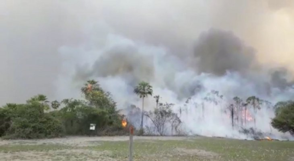 ATP emite un comunicado sobre incendios en el Amazonas y en el Chaco Paraguayo » Ñanduti