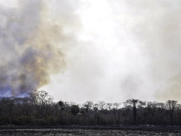 Paraguay perdió 22 millones de hectáreas por incendios en los últimos 19 años