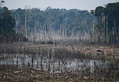 Bolsonaro alista tropas para combatir los incendios en la Amazonía