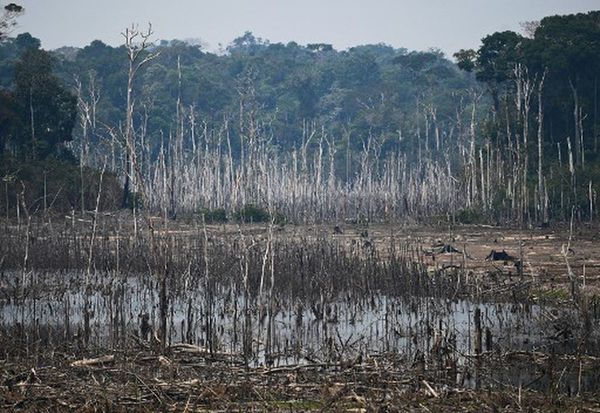 Bolsonaro alista tropas para combatir los incendios en la Amazonía