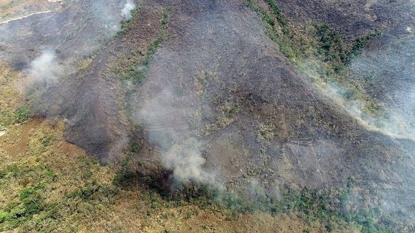 El banco CAF dona medio millón de dólares para los incendios en el Amazonas - Mundo - ABC Color
