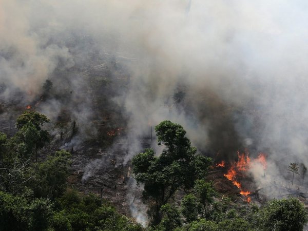 CAF donó USD 500.000 para incendios en el Amazonas