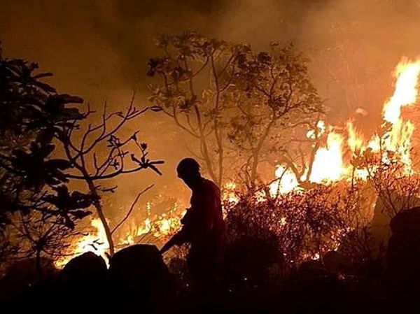 Aumentan los focos de incendio en la Amazonia - Internacionales - ABC Color