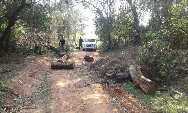 "Sintierras” vuelven a atacar estancia en Mbuyapey - Nacionales - ABC Color