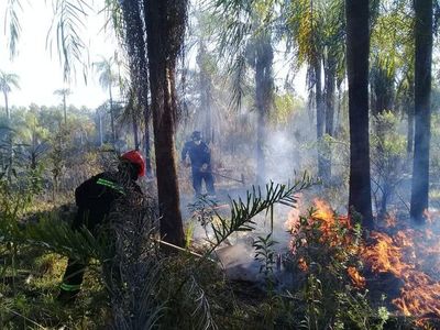 Fuego no está solo en el Pantanal y Amazonía, también en Guairá