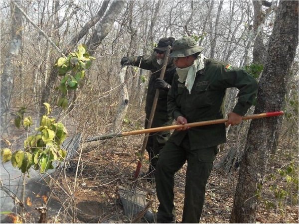 Bolivia: Anuncian medidas drásticas para reforestar áreas incendiadas