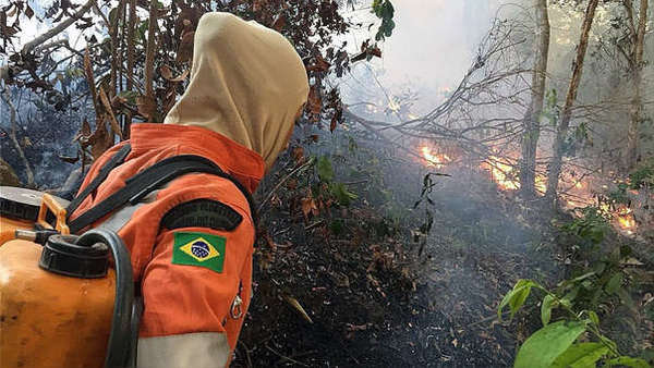 Brasil intensifica sus esfuerzos ante el avance de las llamas en la Amazonía | .::Agencia IP::.