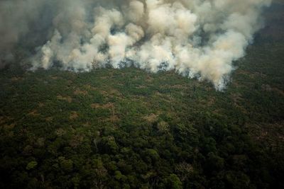 El humo ahoga el norte de Brasil mientras los incendios en la Amazonía se enfurecen - Mundo - ABC Color