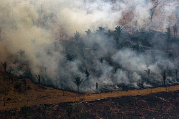 El humo ahoga el norte de Brasil, mientras el fuego se intensifica