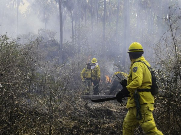 Fuego arrasa de nuevo con bosques  en  Pantanal chaqueño y otros puntos
