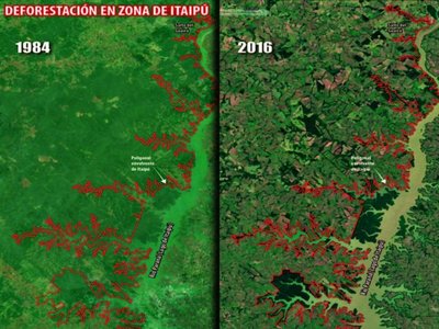 Legislación no ayuda a proteger las áreas silvestres de franja de Itaipú