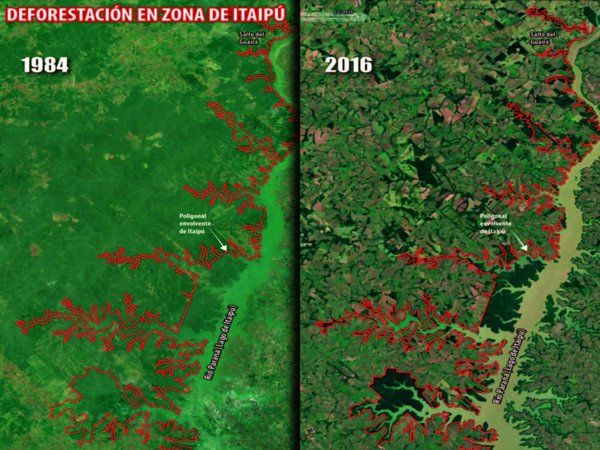 Legislación no ayuda a proteger las áreas silvestres de franja de Itaipú