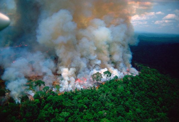Brasil intensifica sus esfuerzos ante el avance de las llamas en la Amazonía » Ñanduti