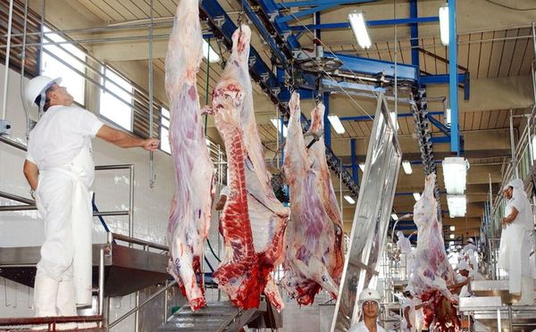 Carne paraguaya podría ingresar a EE.UU. en 2020 - Economía - ABC Color