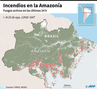 Las llamas siguen devorando parte del bosque de la Amazonia en Brasil - Internacionales - ABC Color