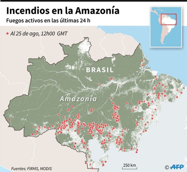 Las llamas siguen devorando parte del bosque de la Amazonia en Brasil - Internacionales - ABC Color