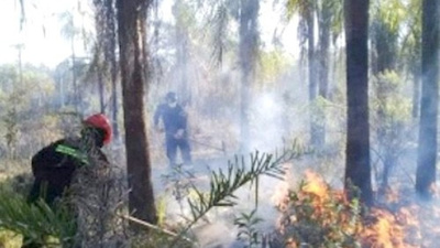 “Arde Py” para salvar áreas verdes