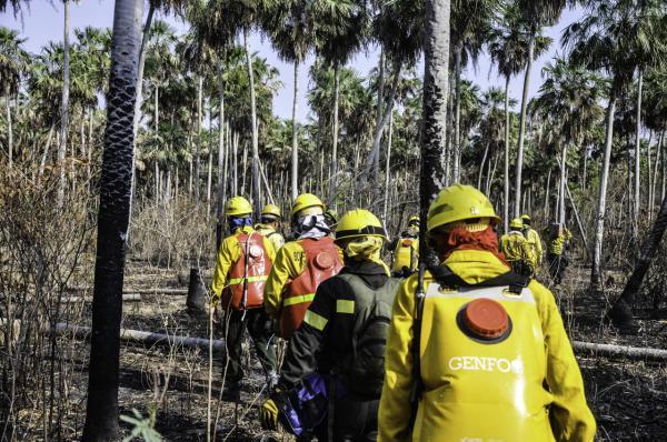 Mandatario verifica hoy tareas de combate a incendios forestales del Pantanal paraguayo