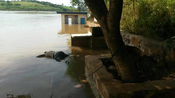 Encuentran cuerpo sin vida en el Río Paraná