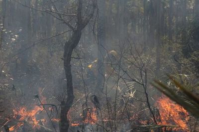 Bomberos reportan nuevos focos de incendio en Pantanal paraguayo - Nacionales - ABC Color