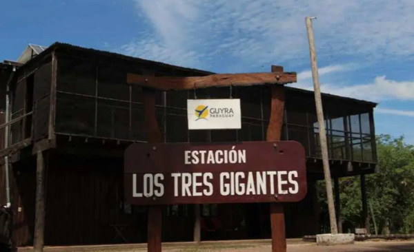 HOY / Estación biológica está fuera de peligro y pantanal quemado se recuperará