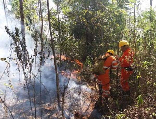 Fuego arrasa de nuevo con bosques en Pantanal chaqueño y otras localidades