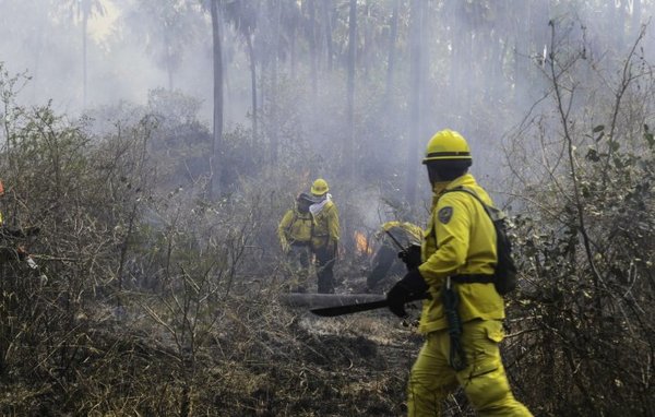 Fuego arrasa de nuevo con bosques en Pantanal chaqueño y otros puntos