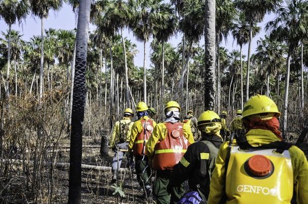 Bomberos reportan nuevos focos de incendio en Pantanal paraguayo - Digital Misiones