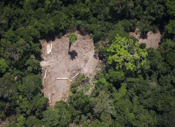Londres promete 10 millones de libras esterlinas para la Amazonía