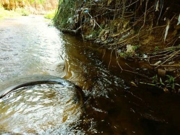 Bellos tesoros naturales podrían desaparecer por grave contaminación - Periodismo Joven - ABC Color