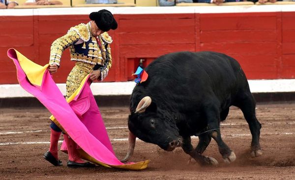 “Humanizar a los animales supone desnaturalizarlos” - Mascotas - ABC Color