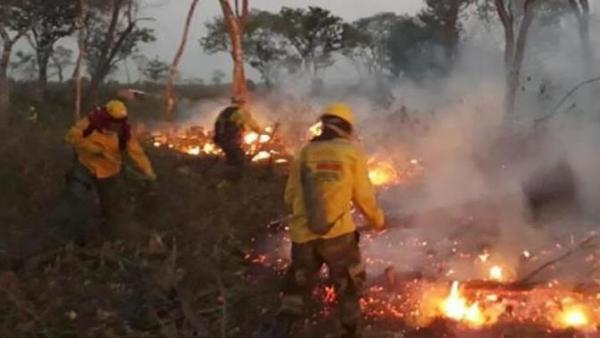 Bolivia quiere una reunión regional por incendios pero Brasil demora la respuesta | .::Agencia IP::.