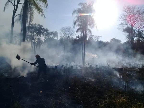 Director del Ineram alertó sobre impacto que tendrán los incendios