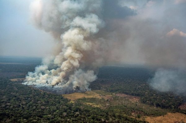El G7 moviliza USD 20 millones para combatir el fuego en la Amazonía