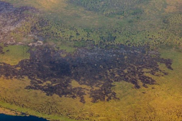 Fiscalía indagará si incendios fueron provocados o no