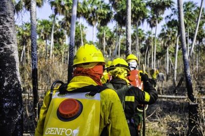 La SEN se moviliza para controlar nuevos focos de incendio al norte del Chaco » Ñanduti