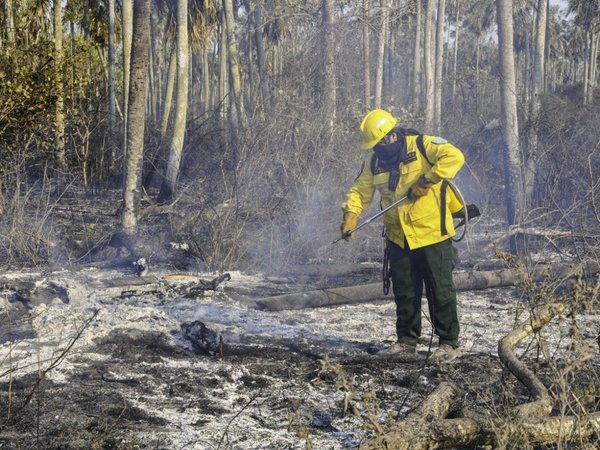 Preguntas y respuestas sobre los incendios que acechan a Amazonía