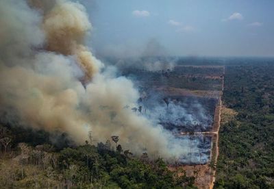 Los “fumadores pasivos” de la Amazonía - Mundo - ABC Color