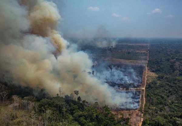Los “fumadores pasivos” de la Amazonía - Mundo - ABC Color