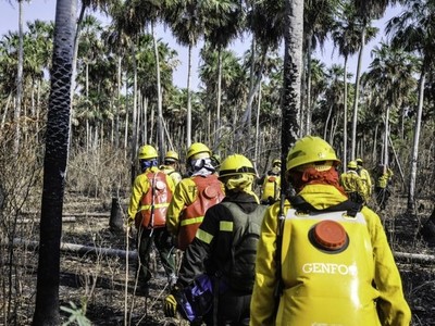 Monitoreo de la calidad del aire en Asunción:'de ninguna manera puede considerarse alarmante'
