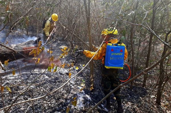 Obispos bolivianos acusan a un decreto del gobierno por incendios forestales