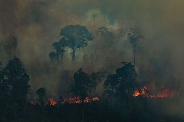 Brasil rechaza ayuda del G7 para combatir incendios amazónicos - Nacionales - ABC Color