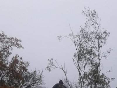 Extraña denuncia de vecinos sobre el cerro Cristo Rey