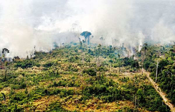 Fuego no se detiene en la Amazonia pese al despliegue para combatirlo - Internacionales - ABC Color