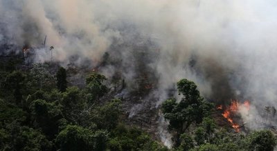 Gobierno de Bolsonaro rechazó la ayuda del G7 para combatir los incendios en el Amazonas - ADN Paraguayo